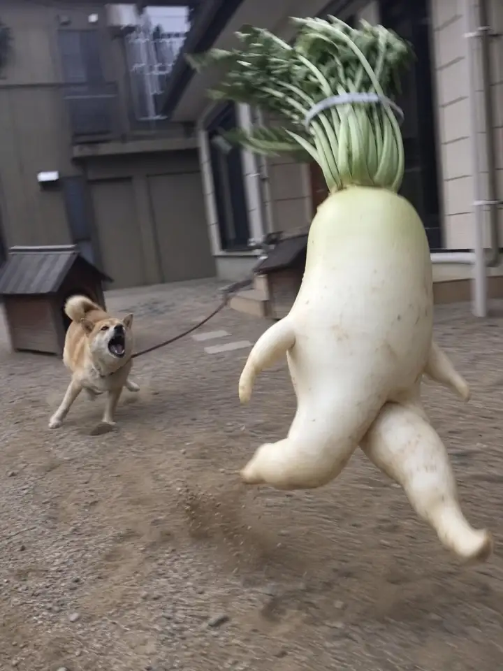 곽대무