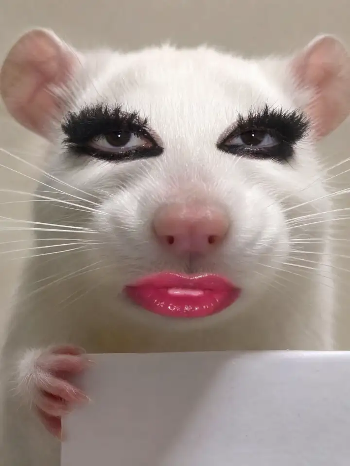 찍시